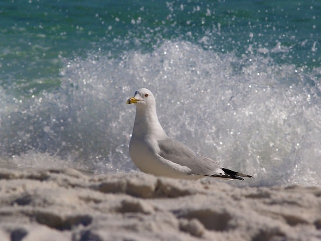 Fort Walton Beach Taxi Service
